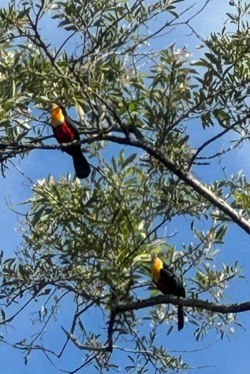 Chale Recanto Do Frassetto Sideropolis Dış mekan fotoğraf